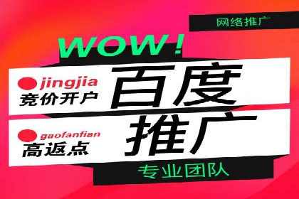 SEM代理操作技巧：成功案例揭秘